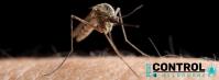 Mosquito Control Melbourne image 3